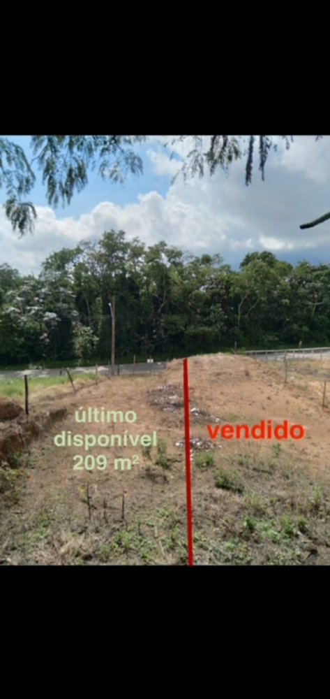 Terreno - Venda - Jardim das Flores - Suzano - SP